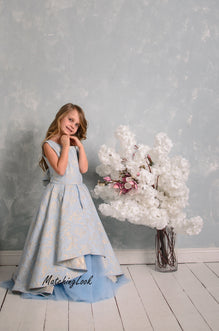 Flower Girl Dress Baby Blue Dress Cinderella Dress Princess Dress