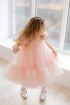 Blush Pink Girl Dress, Party Tulle Dress, Baby Birthday Dress, Toddler Girl Dress, Princess Girl Dress, Tutu Girl Dress, Occasion Dress