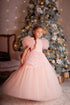 Ready to ship 7/8 years - Peach Lace Flower Girl tutu tulle Dress